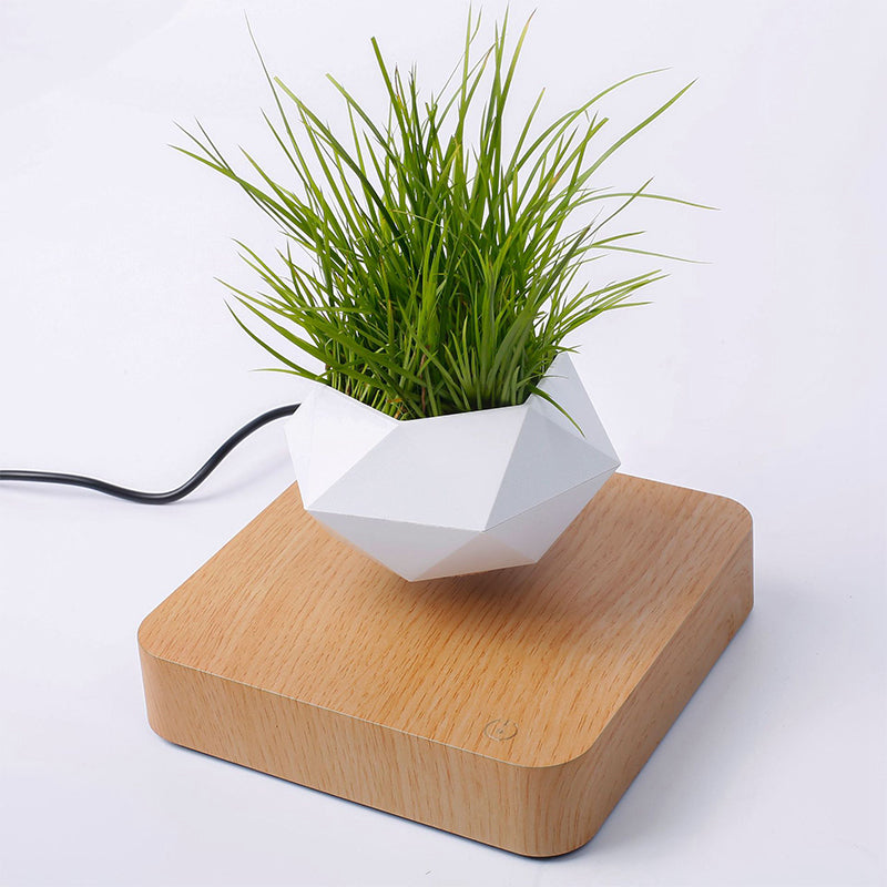 MAGNETIC LEVITATING PLANTER