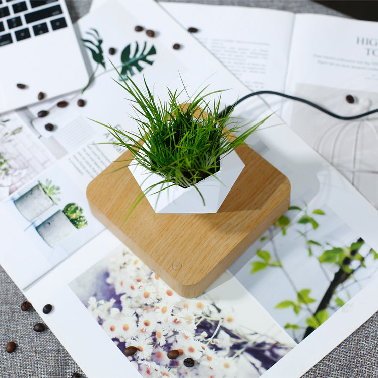 MAGNETIC LEVITATING PLANTER