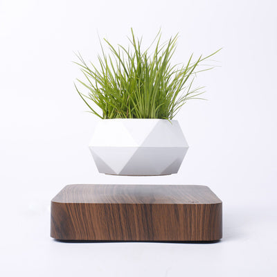 MAGNETIC LEVITATING PLANTER