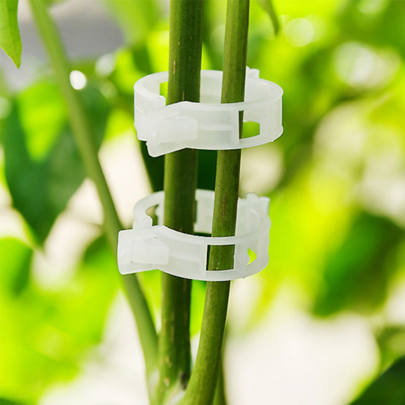 PLANT STALK SUPPORT MOUNTING CLIP SET