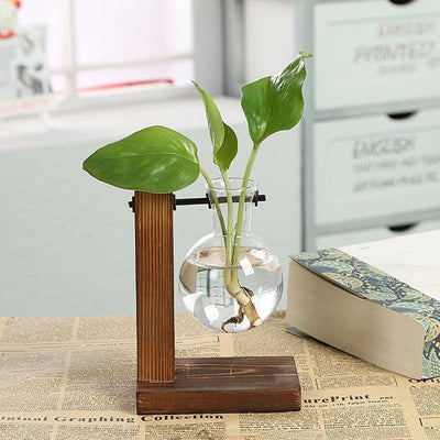 GLASS PROPAGATION VASE WITH VERTICAL WOODEN STAND