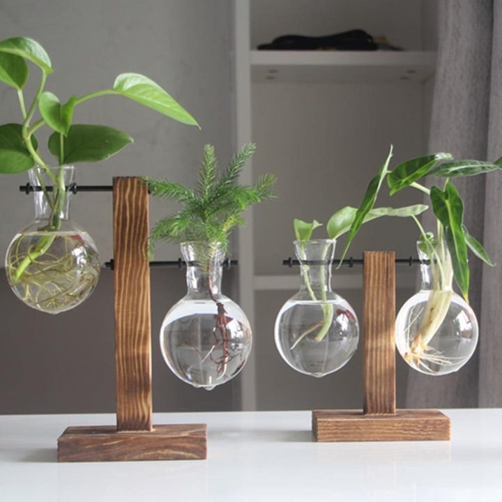 GLASS PROPAGATION VASE WITH VERTICAL WOODEN STAND