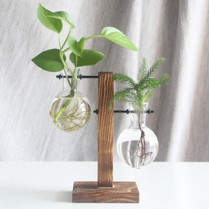 GLASS PROPAGATION VASE WITH VERTICAL WOODEN STAND