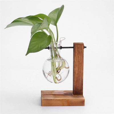 GLASS PROPAGATION VASE WITH VERTICAL WOODEN STAND