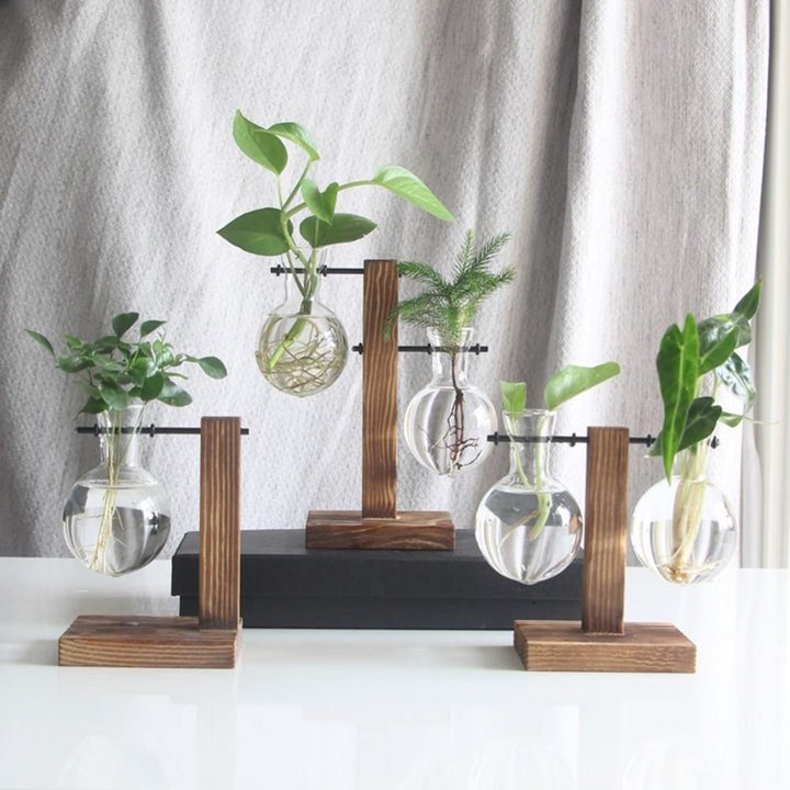 GLASS PROPAGATION VASE WITH VERTICAL WOODEN STAND