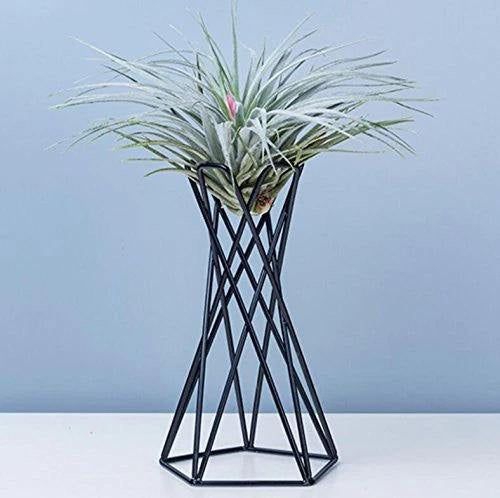 TWISTED GEOMETRIC METAL AIR PLANT STAND