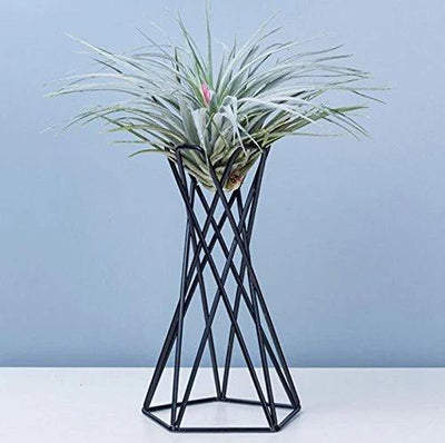 TWISTED GEOMETRIC METAL AIR PLANT STAND