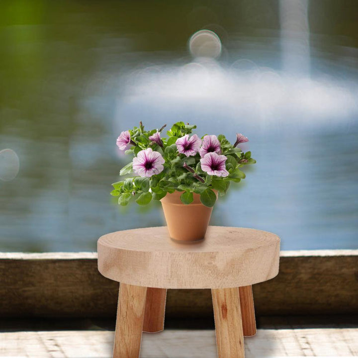 WOODEN PLANT STAND STOOL