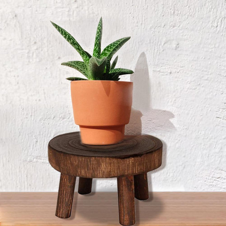 WOODEN PLANT STAND STOOL