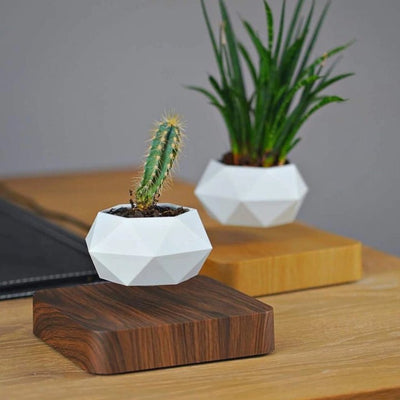 MAGNETIC LEVITATING PLANTER