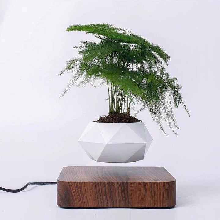 MAGNETIC LEVITATING PLANTER