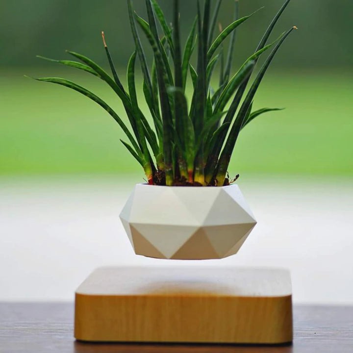 MAGNETIC LEVITATING PLANTER