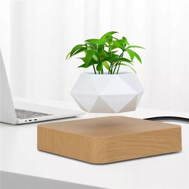 MAGNETIC LEVITATING PLANTER