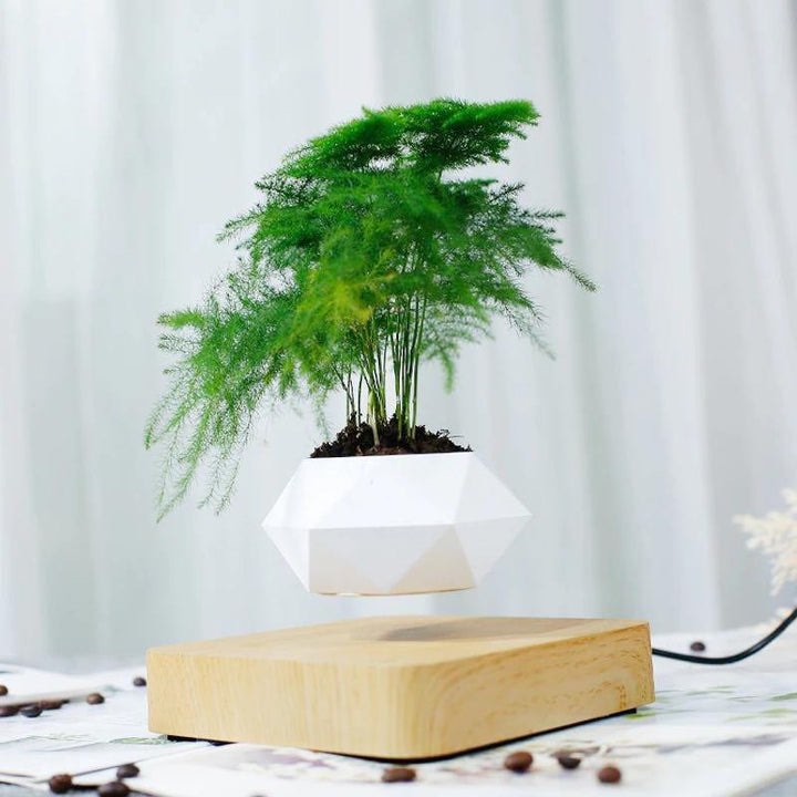 MAGNETIC LEVITATING PLANTER