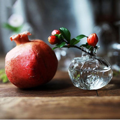 POMEGRANATE GLASS HYDROPONIC PROPAGATION VASE