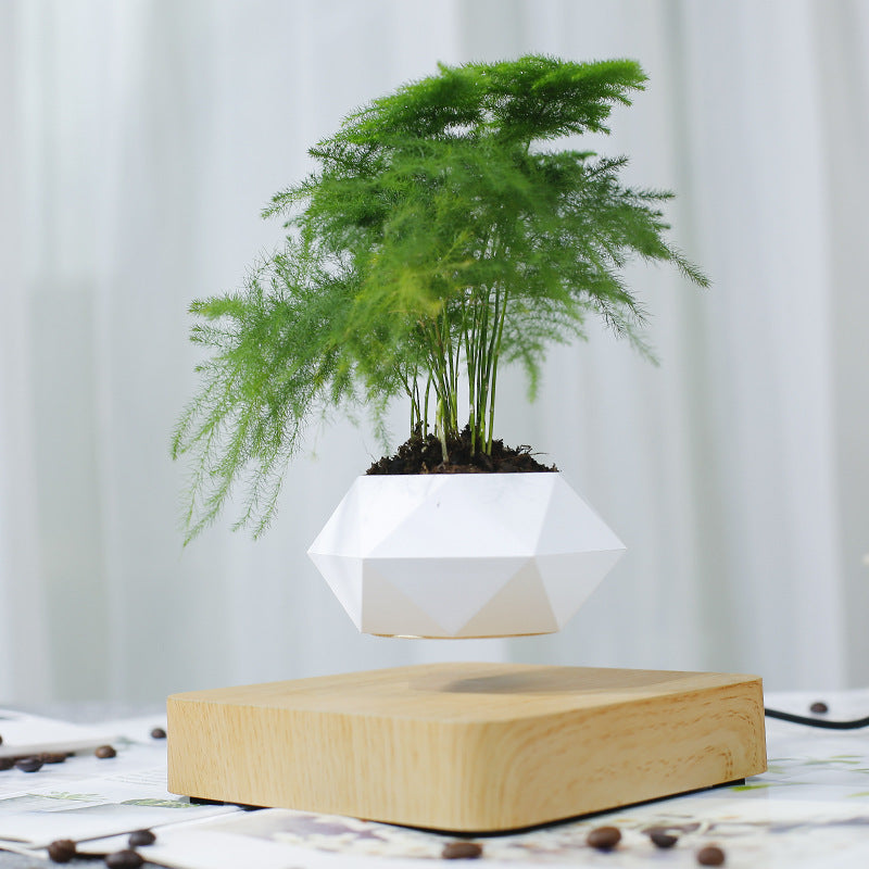 MAGNETIC LEVITATING PLANTER