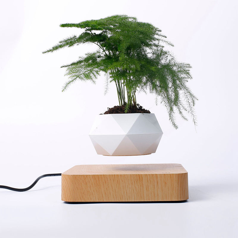 MAGNETIC LEVITATING PLANTER