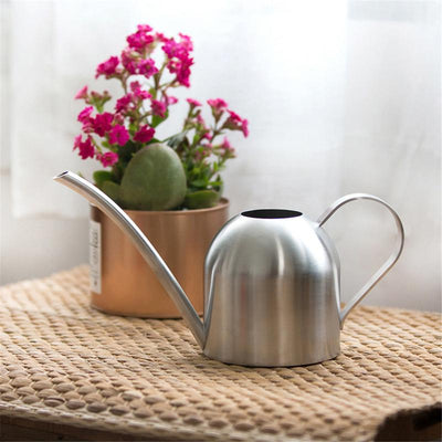 GOOSENECK DOME STAINLESS STEEL WATERING CAN