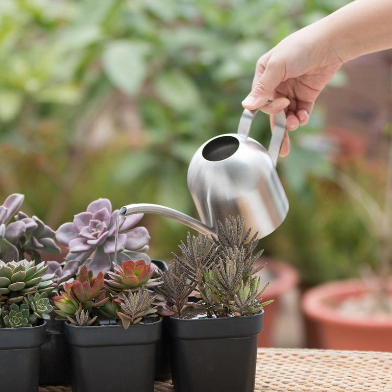 GOOSENECK DOME STAINLESS STEEL WATERING CAN