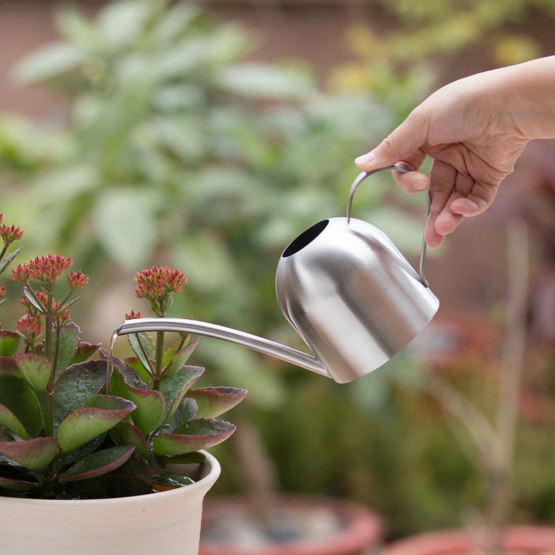 GOOSENECK DOME STAINLESS STEEL WATERING CAN