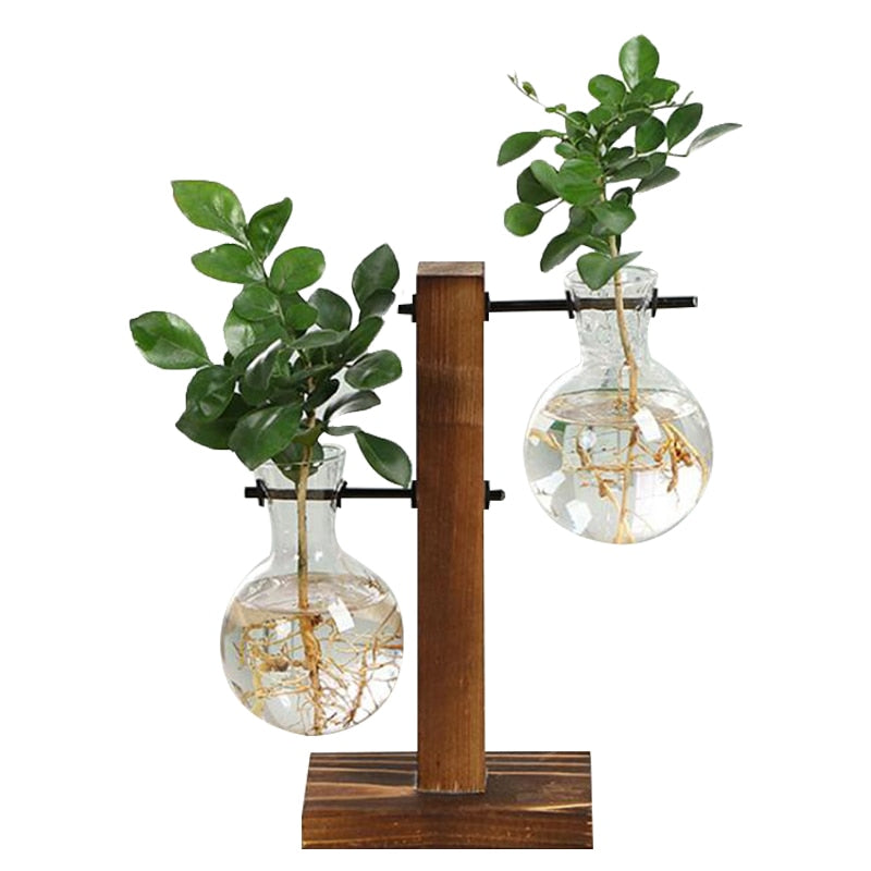 GLASS PROPAGATION VASE WITH VERTICAL WOODEN STAND