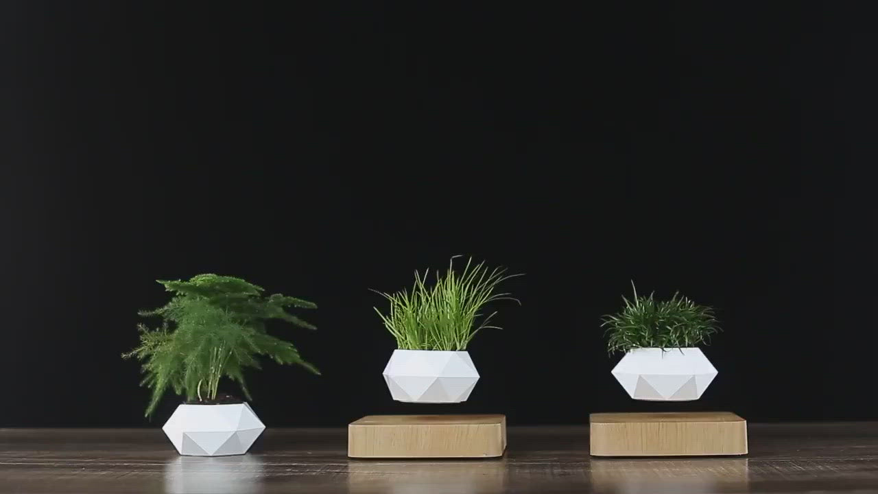 MAGNETIC LEVITATING PLANTER