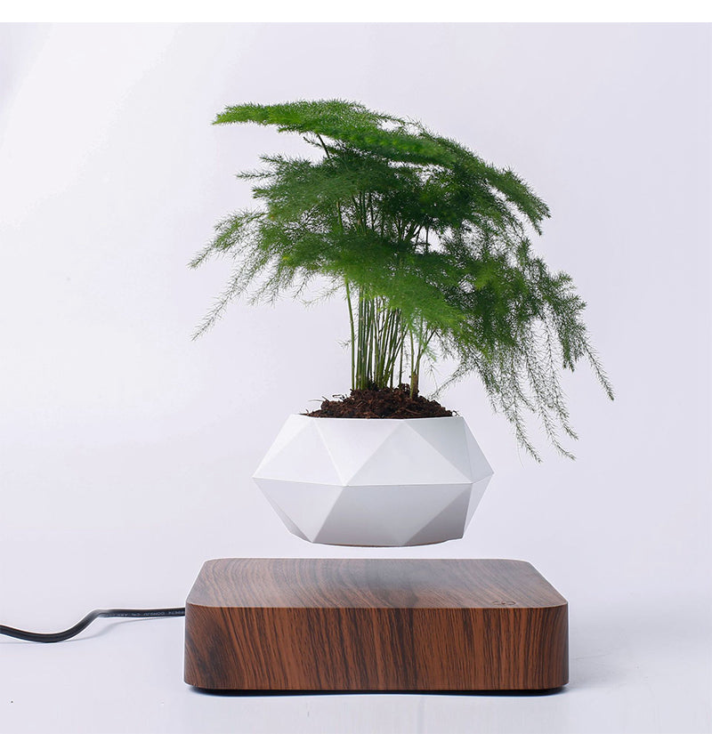 MAGNETIC LEVITATING PLANTER