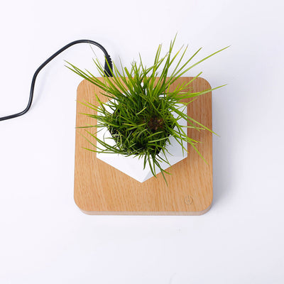 MAGNETIC LEVITATING PLANTER