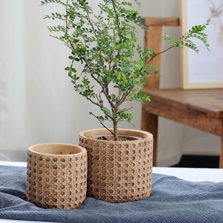 NATURAL RATTAN TEXTURE CEMENT PLANTER