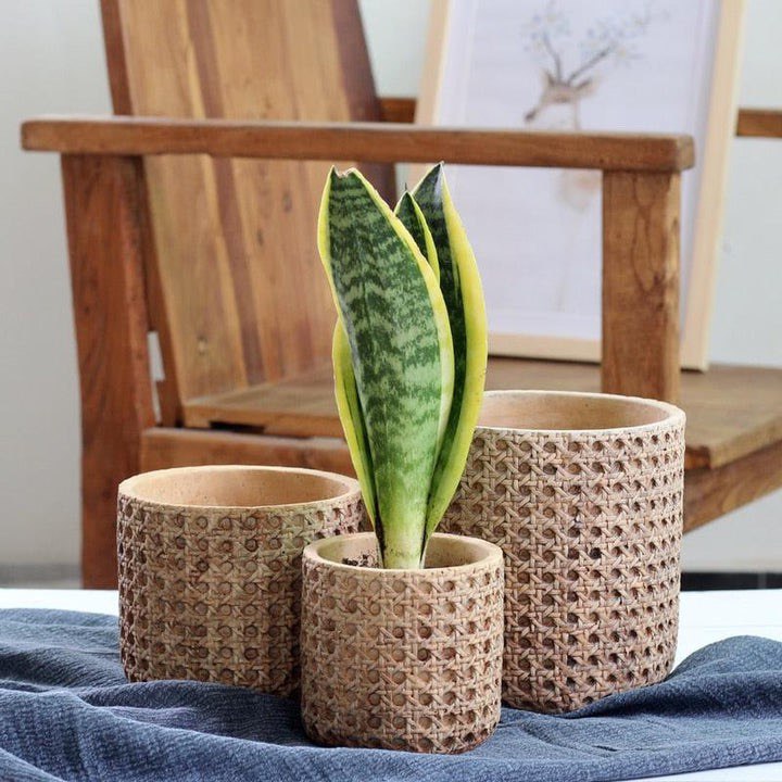 NATURAL RATTAN TEXTURE CEMENT PLANTER