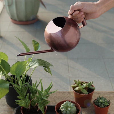 SPHERICAL GOOSENECK STAINLESS STEEL WATERING CAN