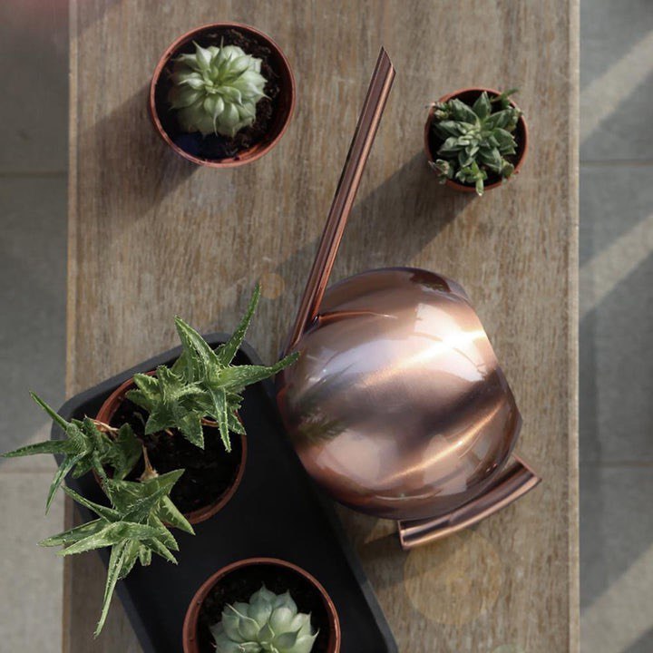 SPHERICAL GOOSENECK STAINLESS STEEL WATERING CAN