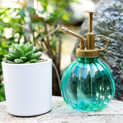 COLORED PLANT MISTER SPRAY BOTTLE