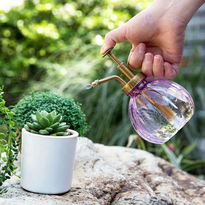 COLORED PLANT MISTER SPRAY BOTTLE