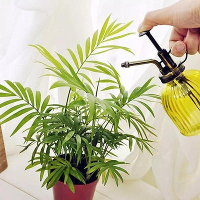 COLORED GLASS PLANT MISTER SPRAY BOTTLE