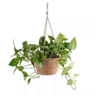 WOVEN JUTE ROPE HANGING PLANTER BASKET