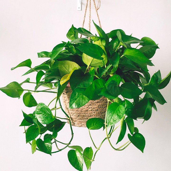 WOVEN JUTE ROPE HANGING PLANTER BASKET