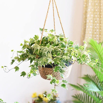 WOVEN JUTE ROPE HANGING PLANTER BASKET