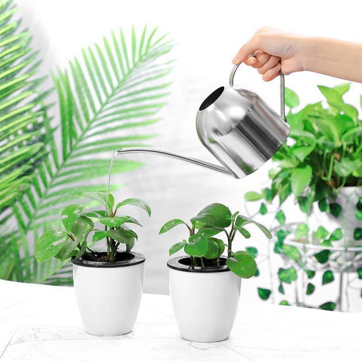 GOOSENECK DOME STAINLESS STEEL WATERING CAN