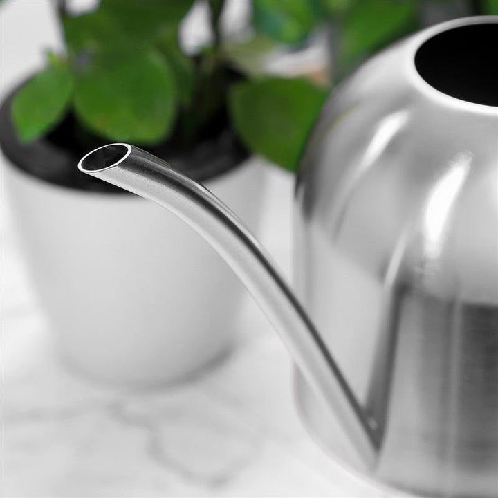 GOOSENECK DOME STAINLESS STEEL WATERING CAN