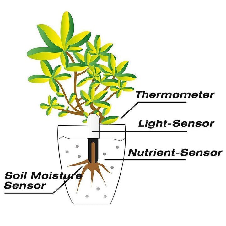 SMART PLANT WATER METER AND HEALTH SENSOR