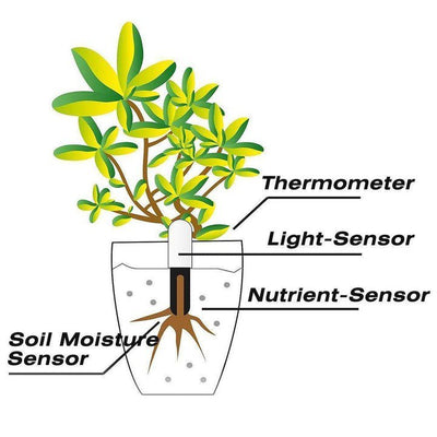 SMART PLANT WATER METER AND HEALTH SENSOR