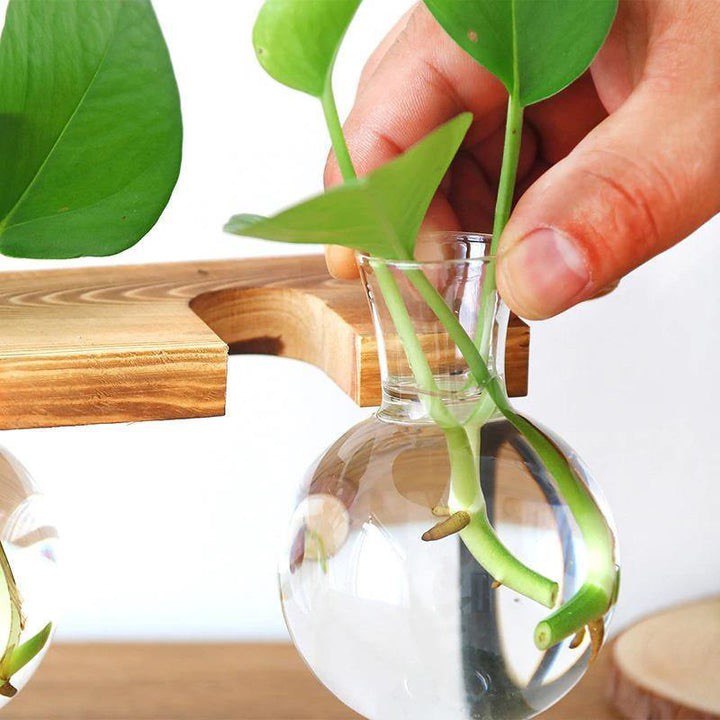 GLASS PROPAGATION VASE WITH IRON AND WOOD STAND